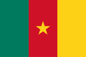 Job Portal in Cameroon
